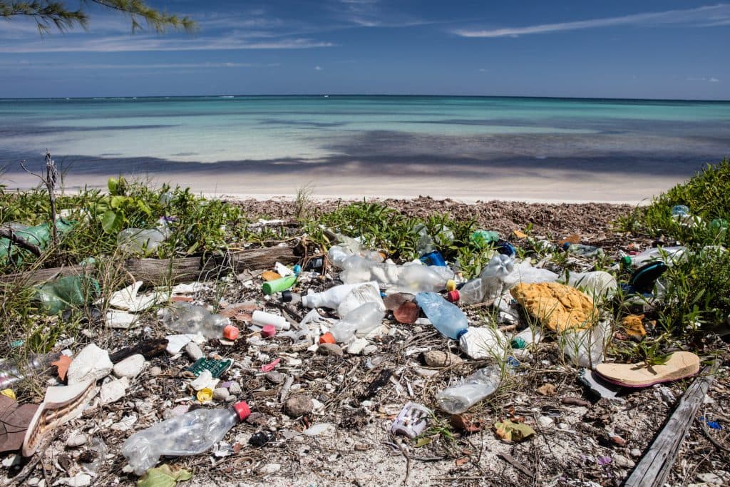 Plastic trash has washed ashore on a remote beach in the Caribbean Sea. Plastic breaks down into tiny pieces that eventually enter the food chain, harming wildlife and threatening human health.
