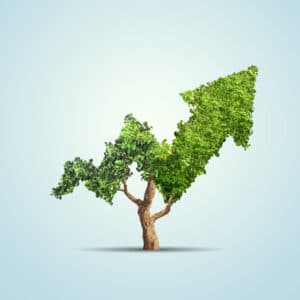 Tree and growth arrow concept