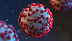 Coronavirus cells