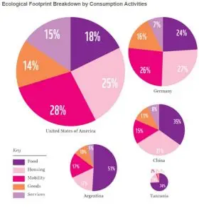 capture-consumption-footprint