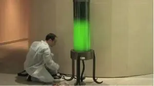 bio-lamp