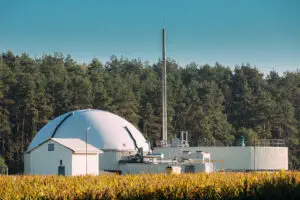 Biogas Plant Or Bioreactor For Fermentation Of Chicken Manure.