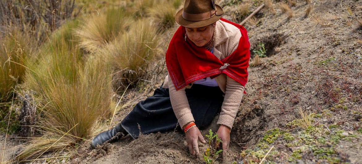 A woman helps restore degraded land in Ecuador.