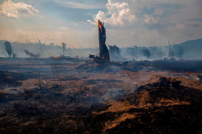 View of a burnt area of forest in Altamira, Para state, Brazil, oin the Amazon basin, on August 27, 2019.