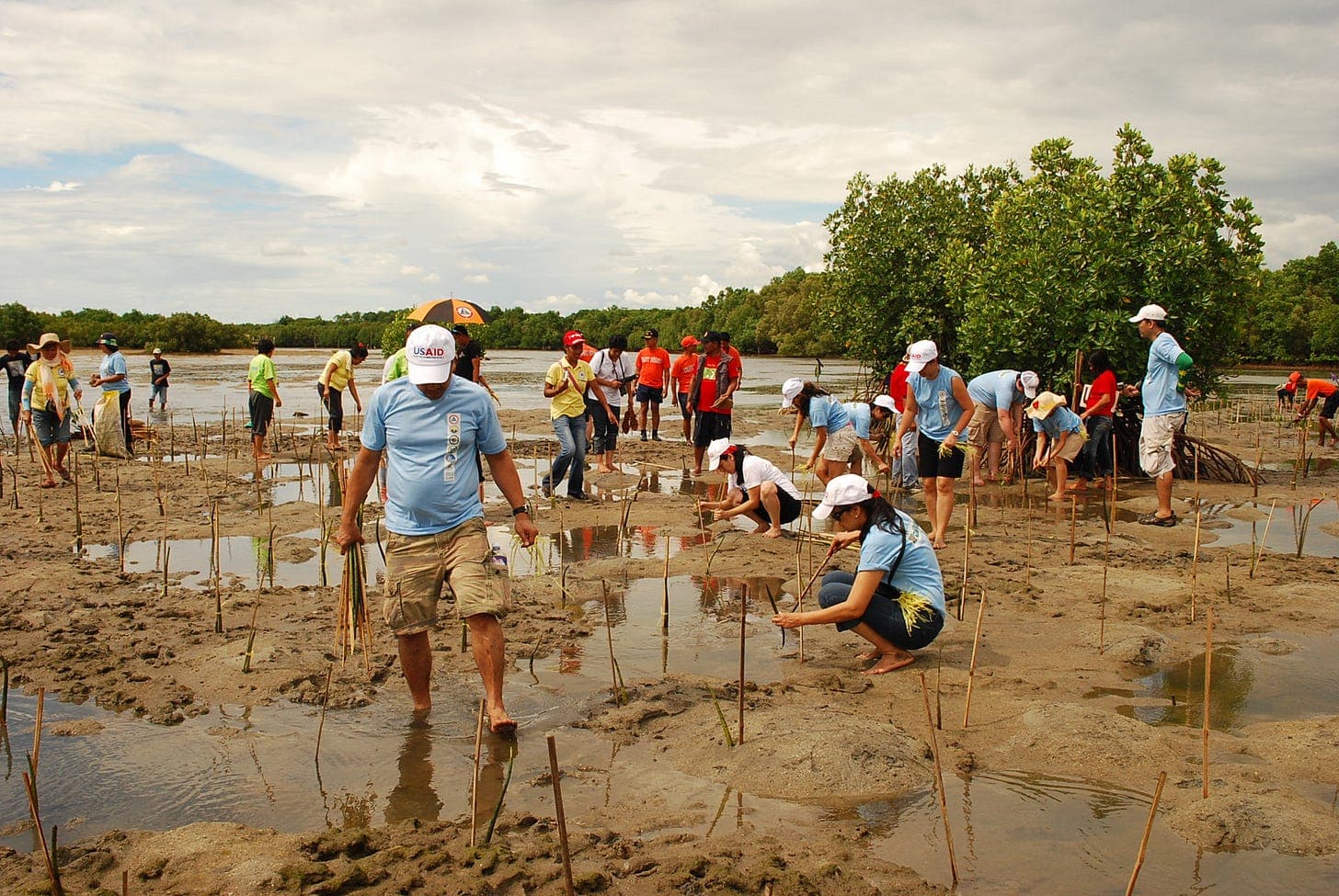 Climate change adaptation - Wikipedia Climate change adaptation - Wikipedia