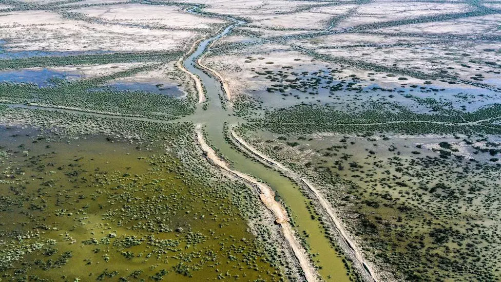 Drought combined with reduced river flows due to dams further upstream are starving the marshlands in Iraq's Ahwar region of water (Credit: Asaad Niazi/AFP/Getty Images)