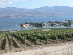 Westbank vineyards