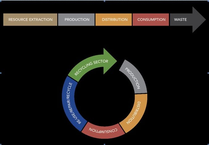 Circular and linear economies