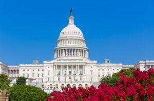 Capitol building in Washington DC