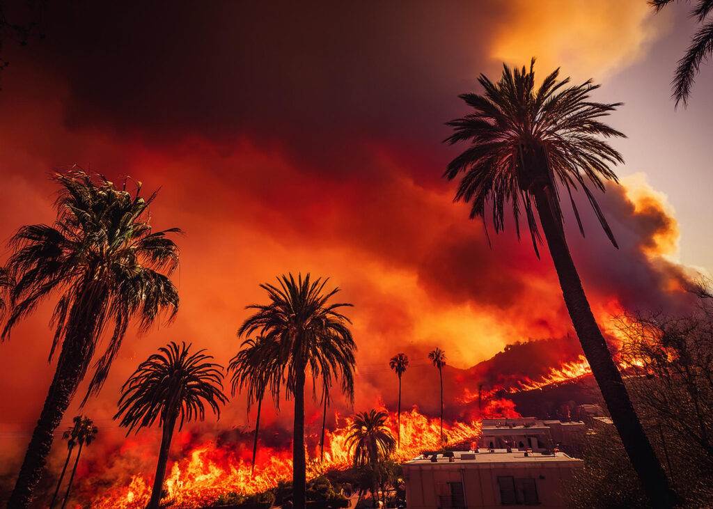 Los Angeles is burning, villas and palm trees all around